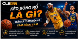 Kèo Bóng Rổ Là Gì? Giải Mã Toàn Diện Về Trái Bóng Cam