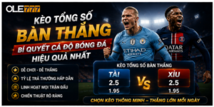 Kèo Tổng Số Bàn Thắng - Bí Quyết Cá Độ Bóng Đá Hiệu Quả Nhất