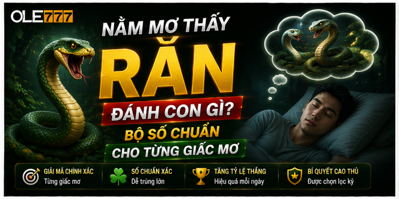 Nằm Mơ Thấy Rắn Đánh Con Gì? Bộ Số Chuẩn Cho Từng Giấc Mơ