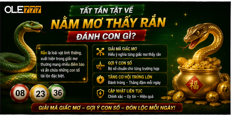 Tất tần tật về nằm mơ thấy rắn đánh con gì? Tất tần tật về nằm mơ thấy rắn đánh con gì?