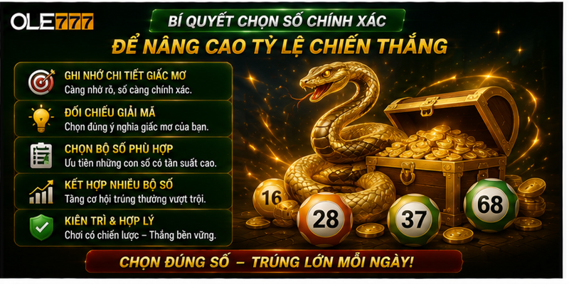 Bí quyết chọn số chính xác để nâng cao tỷ lệ chiến thắng Bí quyết chọn số chính xác để nâng cao tỷ lệ chiến thắng